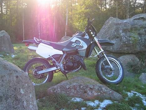 Suzuki SMX billede 1