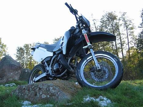 Suzuki SMX billede 2