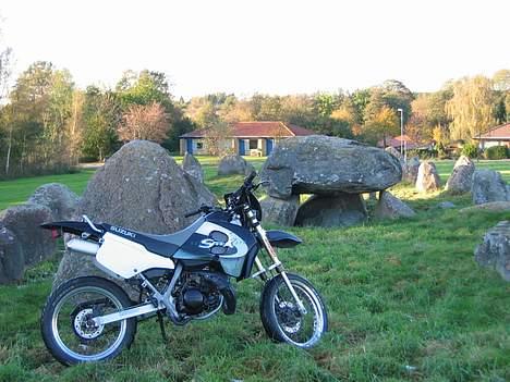 Suzuki SMX billede 3