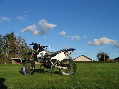 Suzuki SMX billede 4