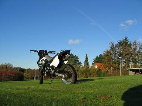 Suzuki SMX billede 5