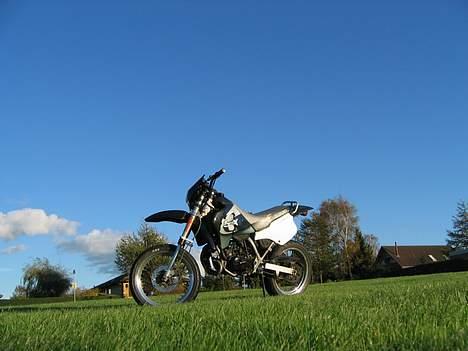 Suzuki SMX billede 6