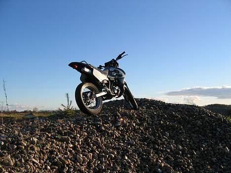 Suzuki SMX billede 12