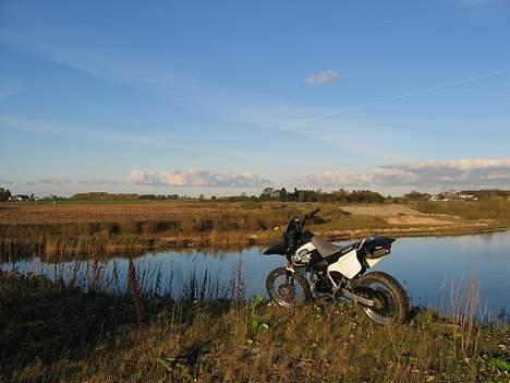 Suzuki SMX billede 15