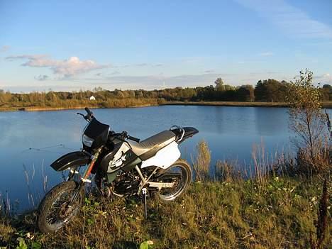 Suzuki SMX billede 16