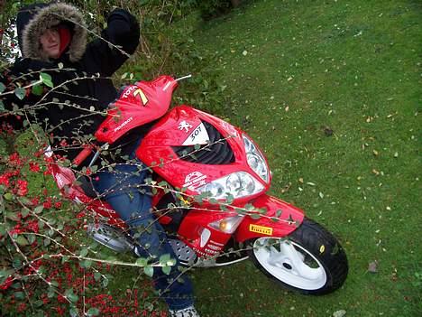 Peugeot speedfight 2 307 billede 2