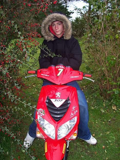 Peugeot speedfight 2 307 billede 8