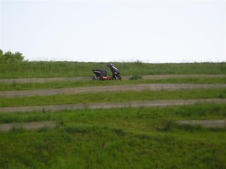 Aprilia Sonic billede 11