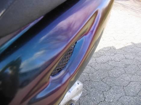 CPI Chameleonen billede 7