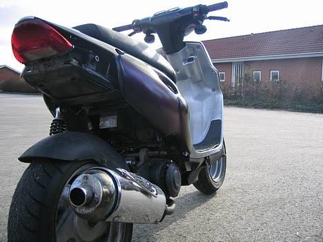 CPI Chameleonen billede 8