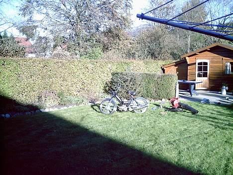 Puch Maxi K ( VÆK ) billede 5