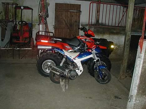 Suzuki Street Magic - solgt billede 19