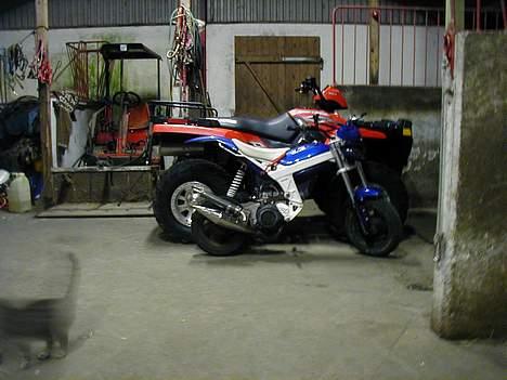 Suzuki Street Magic - solgt billede 20