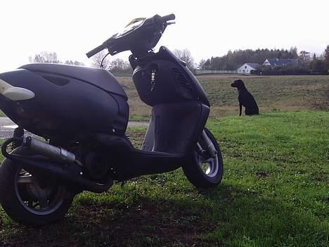 Aprilia Sonic- Solgt - før billede 6