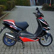 Aprilia Ditech sr50 replica LC DD