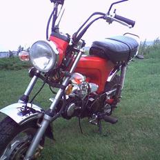 Honda Dax 125ccm projekt