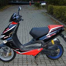 Aprilia Ditech sr50 replica LC DD