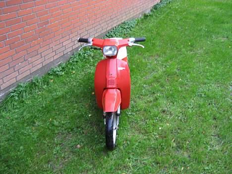 Honda melody  billede 1