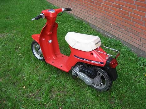 Honda melody  billede 3