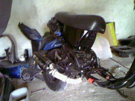 PGO Hot Ombyg. solgt - Yasuni C20 Black edition. billede 2