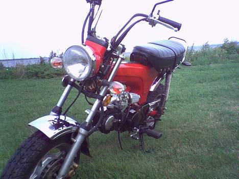 Honda Dax 125ccm projekt billede 2