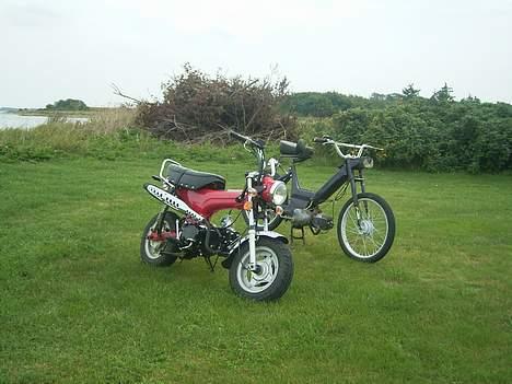 Honda Dax 125ccm projekt billede 6