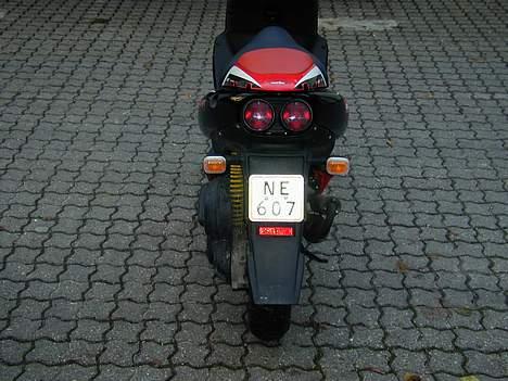 Aprilia Ditech sr50 replica LC DD billede 5