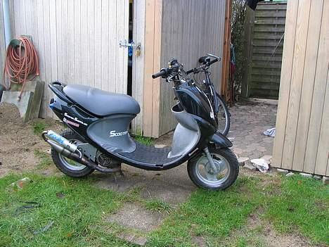 PGO Rodoshow.    (SOLGT).  billede 2