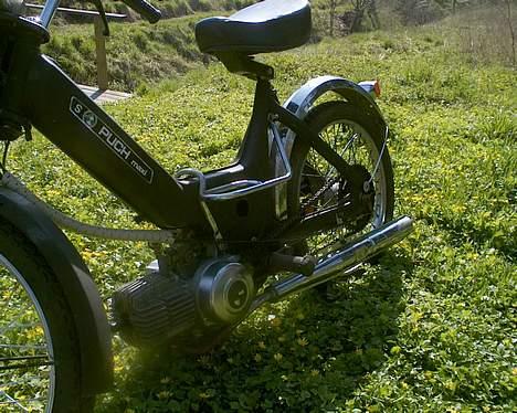 Puch Puch Maxi P / K - SOLGT - Efter renovation billede 12