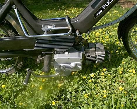 Puch Puch Maxi P / K - SOLGT - Efter renovation billede 13