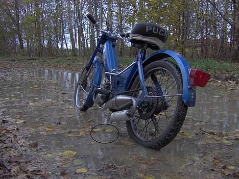 Puch maxi STJÅLET - det er et fee billede billede 8