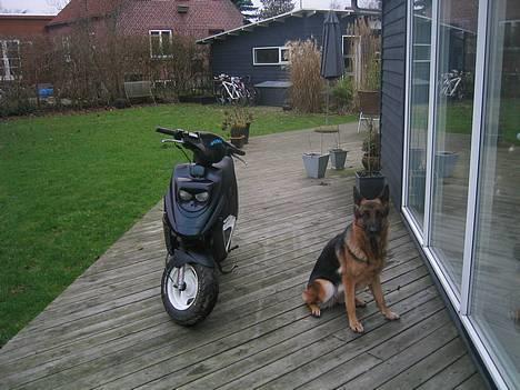 PGO Hot 50  sooolgt  - Mean machine billede 1