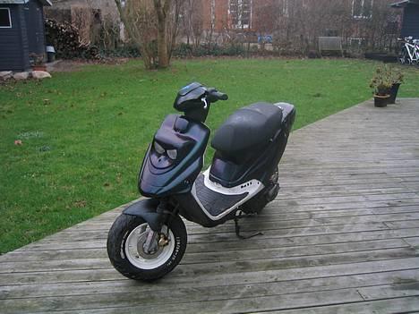 PGO Hot 50  sooolgt  - Et syn for guderne billede 7