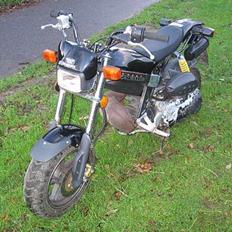 Suzuki Street magic( byttet )