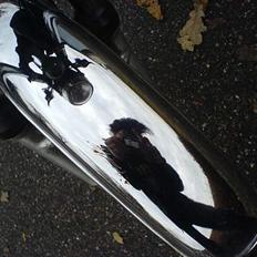 Suzuki samurai dm 50  // BYTTET\