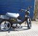 Honda wallaro (SOLGT)