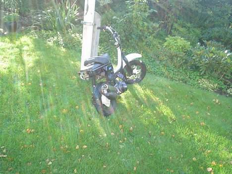 Suzuki FZ50 / JOG SOLGT billede 9