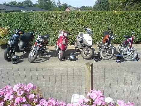 Yamaha 4-gear billede 8