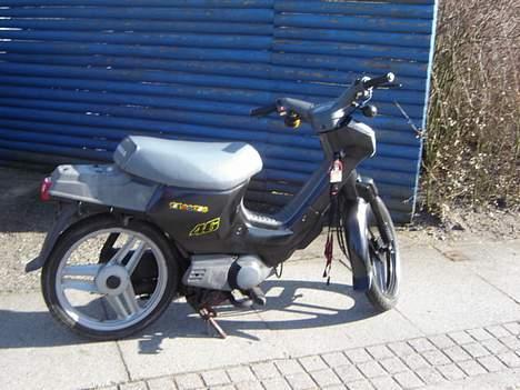 Honda wallaro (SOLGT) billede 1