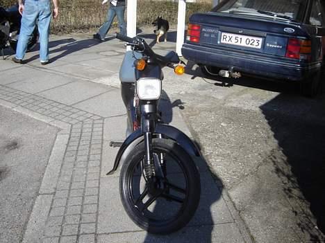 Honda wallaro (SOLGT) billede 2