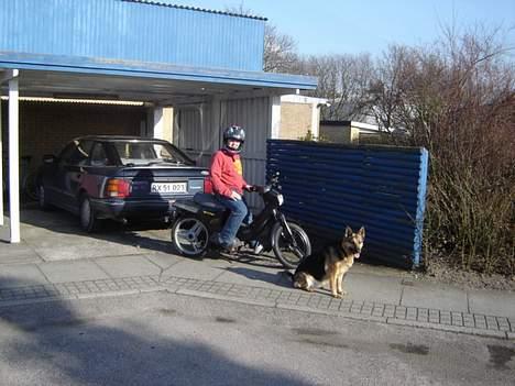 Honda wallaro (SOLGT) billede 6