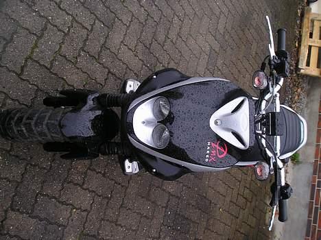 PGO Pmx Naked STJÅLET  billede 3