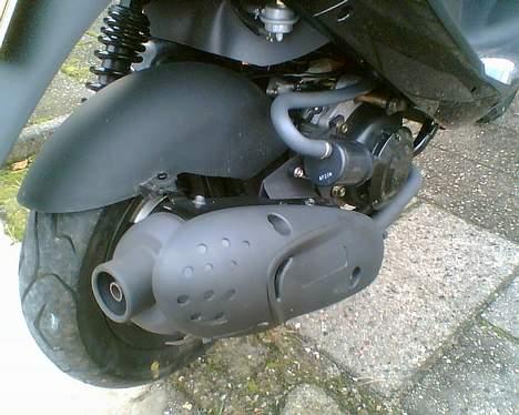 PGO BLaCk MaGiC billede 12