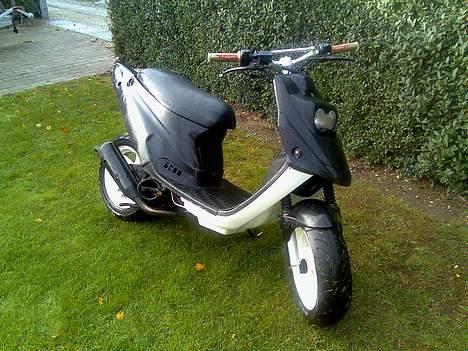 PGO Hot 50 (BYTTET TIL DM50)  billede 1