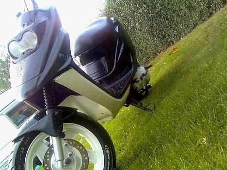 PGO Hot 50 (BYTTET TIL DM50)  billede 9