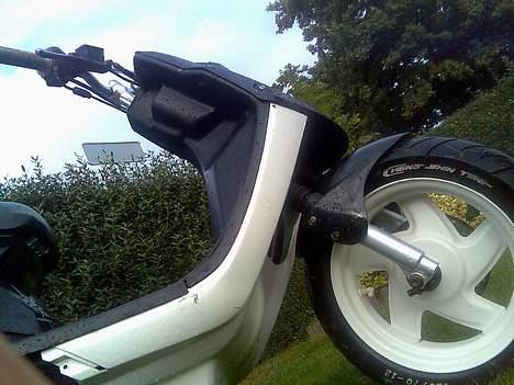 PGO Hot 50 (BYTTET TIL DM50)  billede 10