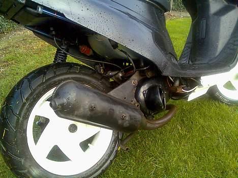 PGO Hot 50 (BYTTET TIL DM50)  billede 11