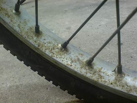 Puch Maxi K (SOLGT) - Forfælgen inden den blev pudset billede 7