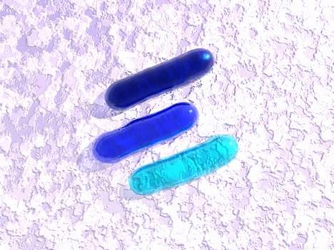 Siamoto Birdie *Solgt* - Polini 3D tingest... Hehe... Kedede mig lidt :D billede 12