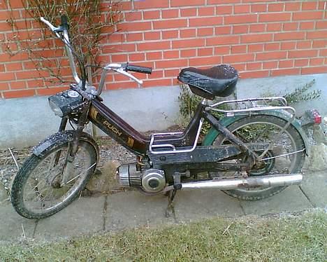 Puch maxi k byttet stem ikk   - før ja køn er de jo ikke billede 2